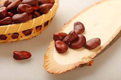 经典《风云拳击物语》确定3月17日登陆Switch